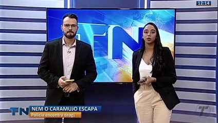 Mulher é presa após furtar R$ 250 em carnes na Grande Vitória