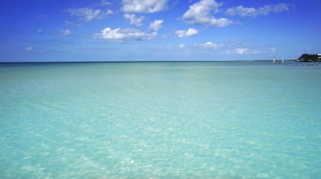 This Car-free Island in Mexico Has Beautiful Beaches, Turquoise Cenotes, and One of the Largest Animals on the Planet