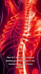 Amazing facts about hair