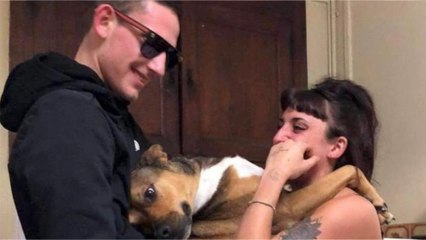 GALA VIDÉO – Mort de Leslie et Kévin : on sait enfin ce qui est arrivé à leur chien Onyx