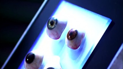 This is an incredible invention of science | An Artificial Eye