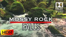 Dolby Vision 4K HDR Nature Video - Mossyrock Rain Forest Falls - Daily Nature Addiction