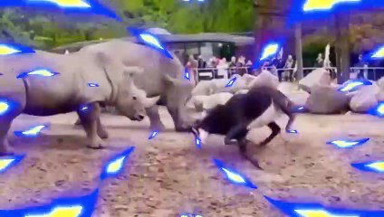 30 Wildest Attacks Caught On Camera (2)