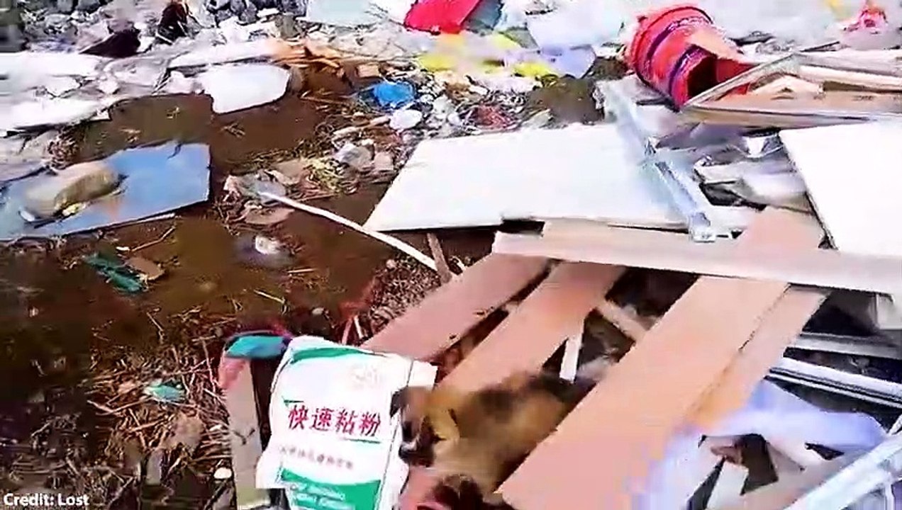 100 RANDOM ACTS OF KINDNESS THAT WILL RESTORE YOUR FAITH IN HUMANITY (2)