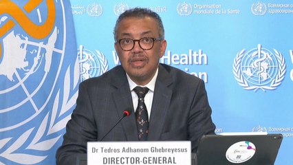 WHO "유혈사태 속 수단, 식량·의료 문제로 사망자 더 나올 듯" / YTN