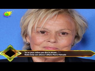 "Je ne peux même pas dire la phrase..." :  Robin brise son silence l'affaire Pierre Palmade