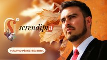 14 DAVID PÉREZ-BECERRA