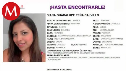 Familiares buscan a Diana Peña, que desapareció camino a una cita de trabajo; Edomex