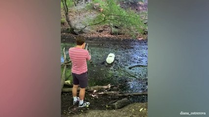 Dogs Think They Are Smarter Than You