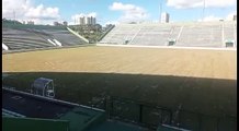 Vídeo mostra estado do gramado do Estádio Bezerrão, no Gama, depois da reforma