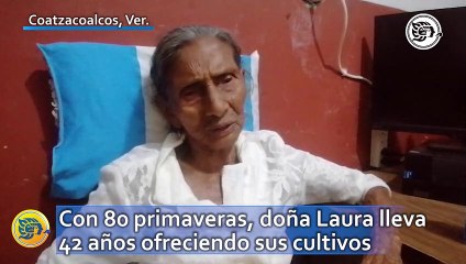 Télécharger la video: ¡Viaja diario desde Pejelagarteros! con 80 primaveras, doña Laura lleva 42 años ofreciendo sus cultivos en Coatzacoalcos