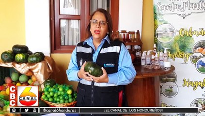 Senprende desarrolla rueda de negocios para fortalecer emprendimientos de grupos indígenas