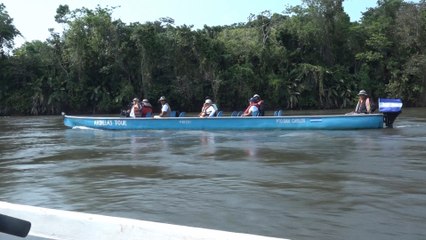 Río San Juan, un impresionante contacto con la naturaleza