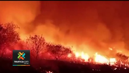 tn7-35-personas-vigilan-las-24-horas-incendio-que-ya-consume-más-de-tres-mil-hectáreas-en-palo-verde-260423