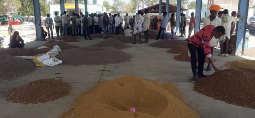 गत वर्ष के मुकाबले कई उपज के भावों में कमी