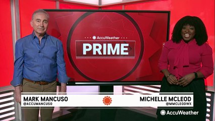 Cats and dogs in the snow and rain