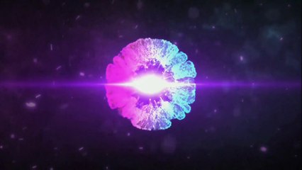 Funny Animal Videos 2023  - Funniest Cats And Dogs Video #PochBuddies #funnypetsvide #funny #cat #dog