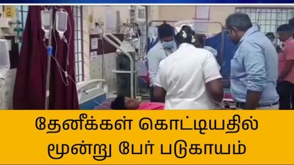 தேன் எடுக்க சென்ற போது நடந்த விபரீதம் - 3 பேர் படுகாயம்!