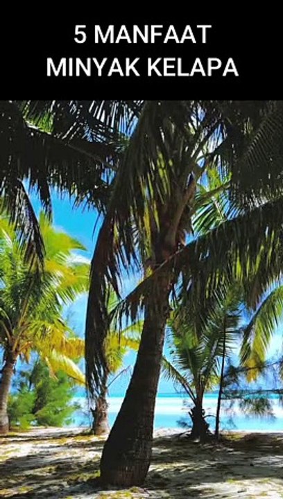 5 Manfaat Minyak Kelapa untuk Rambut yang Jarang Diketahui
