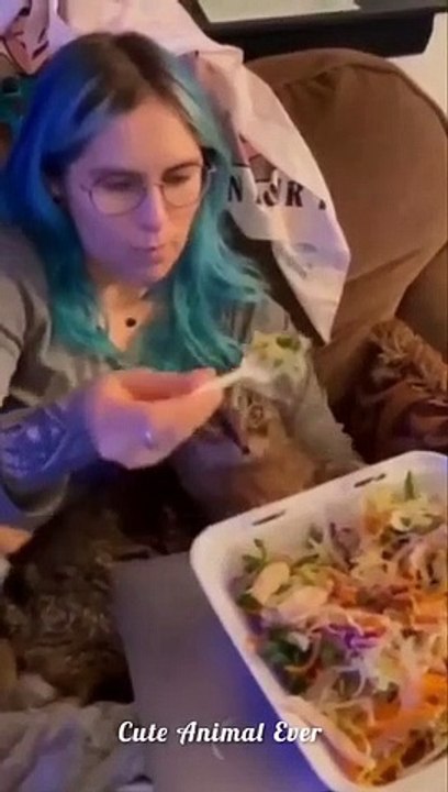 Funniest_Cats_And_Dogs_Videos__-_Funny_Animal_Videos_2022__|_Cute_Animal_