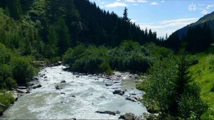 Soothing Sounds of a Mountain River - Relaxing One Hour Video