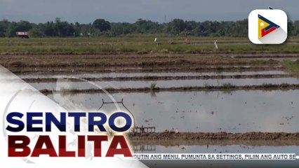 Kahalagahan ng public-private partnership sa pagpapabuti ng agriculture sector, binigyang-diin