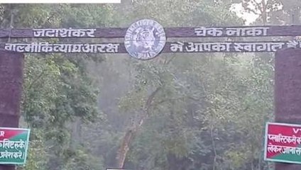 पश्चिमी चंपारण: वीटीआर में लगी आग से तकरीबन तीन एकड़ सदाबहार जंगल जला