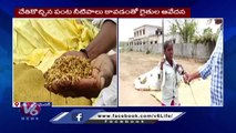 Massive Seeds Damage Due To Heavy Rains _  Farmers Demand Compensation _  Medak _ V6 News