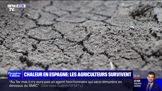 Lees agriculteurs espagnols tentent de sauver leurs récoltes face à la sècheresse