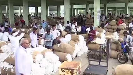 వరంగల్: రోజురోజుకూ పడిపోతున్న పత్తి ధర.. తలలు పట్టుకున్న రైతులు