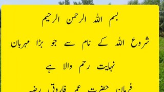 AqwaleZareen Urduquotes Farmane Hazrat Umar R.a