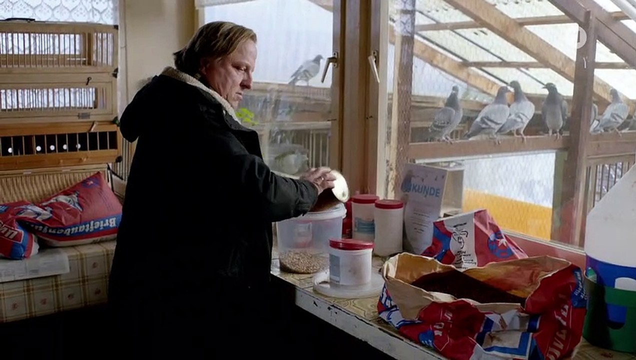 Das Millionen Rennen (Ganzer Film Deutsch 2012)