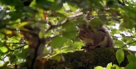 The Simpler Life S01 E05