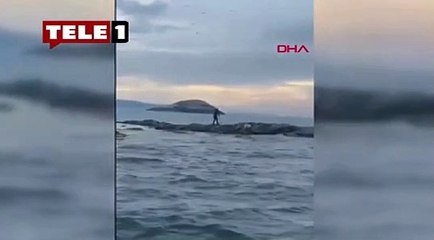 Adada mahsur kalan köpeği sahil güvenlik böyle kurtardı