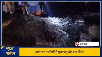 गाजीपुर: आग ने लिया विकराल रूप एक पशु की मौके पर जलकर मौत,देखे रिपोर्ट