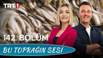 Bu Toprağın Sesi 142. Bölüm – 2022-2023 Balıkçılık Av Sezonu Nasıl Geçtı̇?