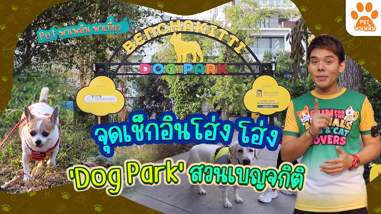Pet พาเพลิน พาเที่ยว  Dog park สวนเบญจกิติ สวนน...