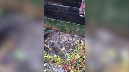 Water leak floods family's £1million home forcing them to live in a portacabin