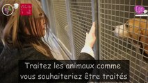 Les enfants de Gouvy se mobilisent contre l’abandon des animaux