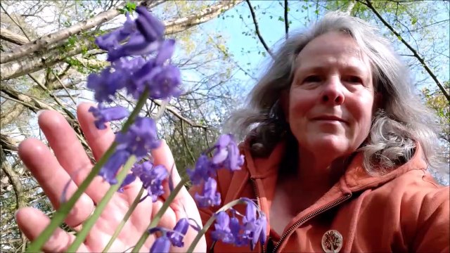 Bluebell walk with Elaine Hammond in America Wood in Ashington and Capite Wood on the Wiston Estate