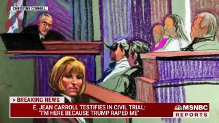 E. Jean Carroll testifies about alleged rape in civil case against Trump