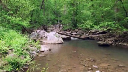 Relaxing Music Along With Beautiful Nature Videos