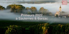 2022 à Sauternes et Barsac, 