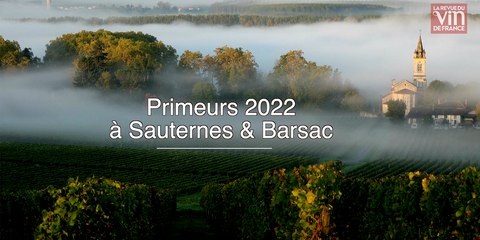 2022 à Sauternes et Barsac, "un millésime qui marquera les esprits"