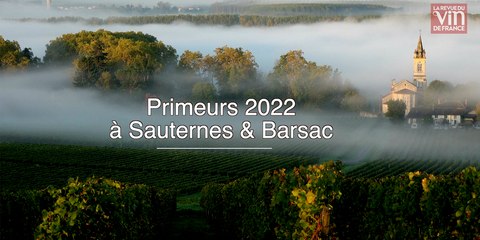 2022 à Sauternes et Barsac, "un millésime qui marquera les esprits"