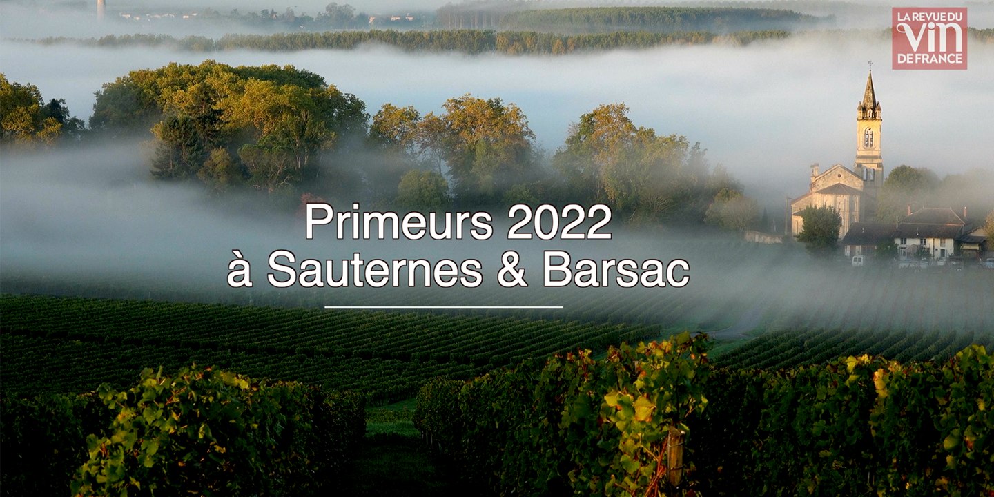 2022 à Sauternes et Barsac, "un millésime qui marquera les esprits"
