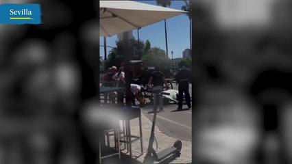 Muere un caballo en la Feria de Sevilla debido a las altas temperaturas