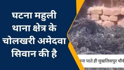 संतकबीरनगर: अज्ञात कारणों से सूअर बाड़ा में लगी भीषण आग, 11 सूअरों की मौत