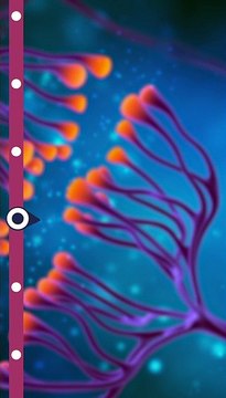 Ictus malattia del cervello, fondamentale rivolgersi a centri specializzati (reel)