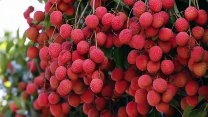 Le Talk : Revivez l'émission du vendredi 28 avril 2023